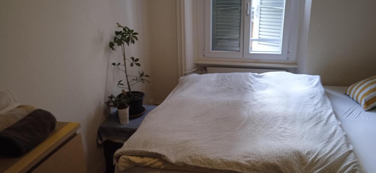 Chambre Double Last Minute Payerne Exteriör bild